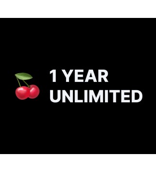 AINDZ 1 Jahr Unlimited Subscription Key GLOBAL